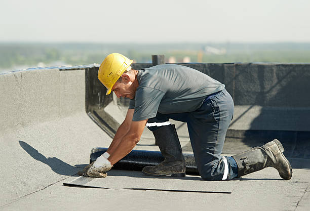 Best Attic Insulation Near Me  in Auburn, ME